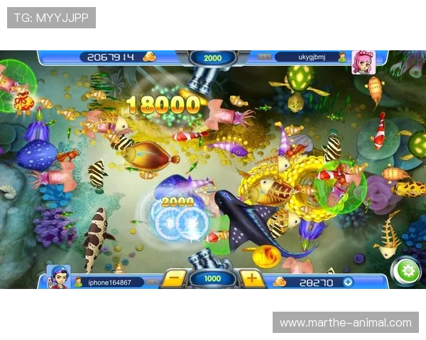 免费试玩ag捕鱼游戏技巧分享，提升你的捕鱼命中率轻松赢取大奖