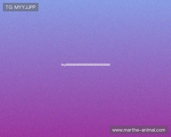 在ag会贵宾厅举办会议与活动，创造难忘的合作与交流体验，提高商务效率