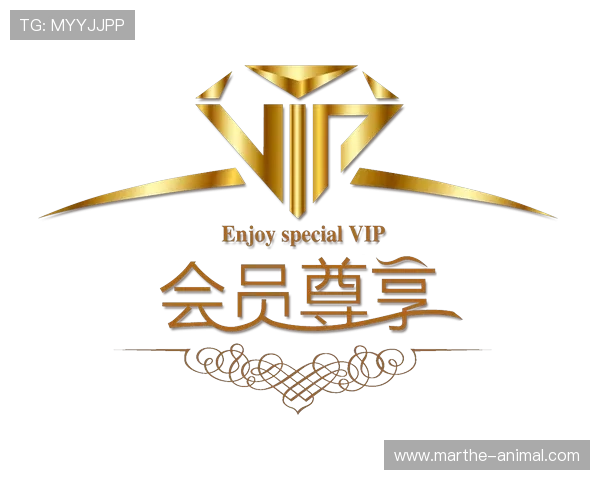 如何顺利完成ag zhenren会员申请，提升游戏体验与尊享专属优惠的方法指南