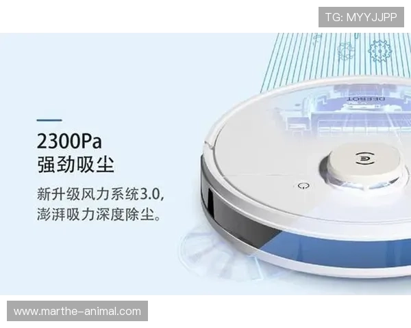 探索PA线上官网的优势与特色，打造高效便捷的线上服务体验