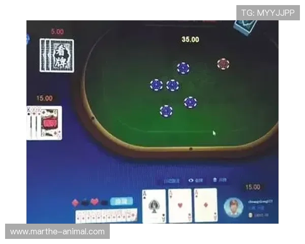 揭秘全国最大的棋牌app，畅享线上棋牌对战的新体验