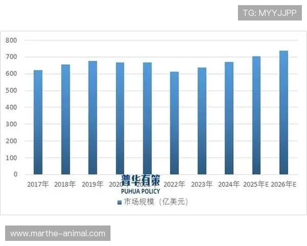 未来五年PA电子行业的市场规模与技术革新趋势展望