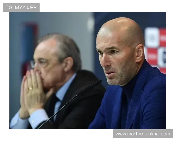 凯发娱乐手机官网用户评价与真实体验分享