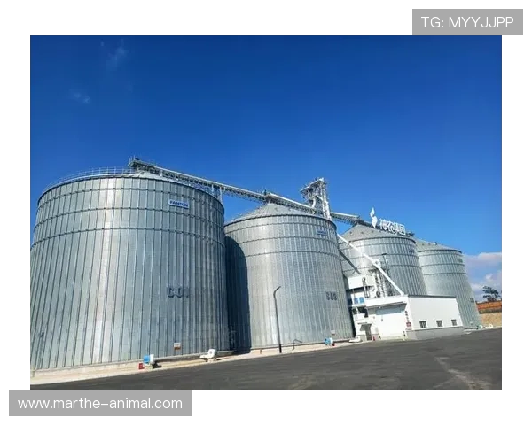 AG厅K8集团：先进技术支持确保平台稳定与安全运行