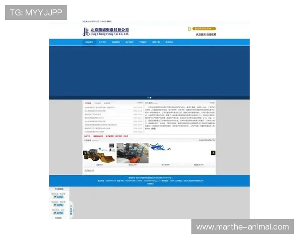 AG官方网站正式上线，丰富内容与优质服务期待您的访问与支持