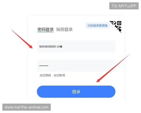 ag登录官网全站登录入口地址，便捷访问方式让你随时随地安全登录账号