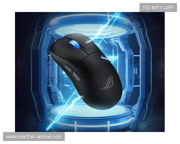 ag真人馆注重玩家隐私保护确保个人信息安全让玩家无后顾之忧