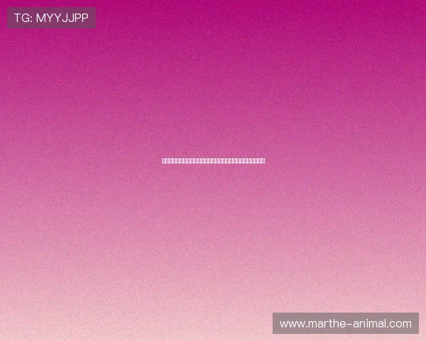 凯发娱乐网站登录最新安全验证技术保障玩家资金与个人信息安全