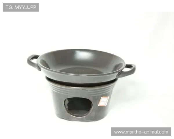 凯发游戏入口官网网址官方入口导航,轻松找到最安全的登录通道 凯发游戏入口官网网址官方入口导航,轻松找到最安全的登录通道