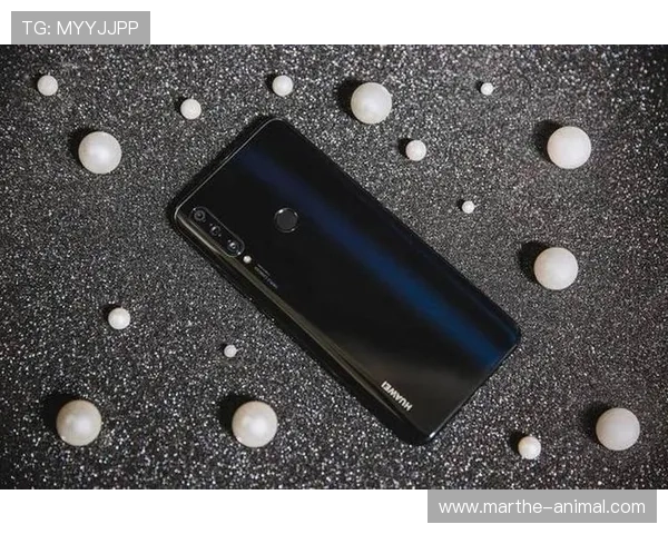 PA网址视讯平台最新安全登录指南帮助玩家轻松访问畅享高清直播体验 PA网址视讯平台最新安全登录指南帮助玩家轻松访问畅享高清直播体验