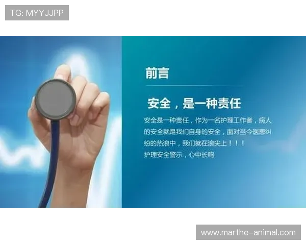 头头体育app登录安全保障措施全面解析,确保用户信息安全与账号无忧 头头体育app登录安全保障措施全面解析,确保用户信息安全与账号无忧