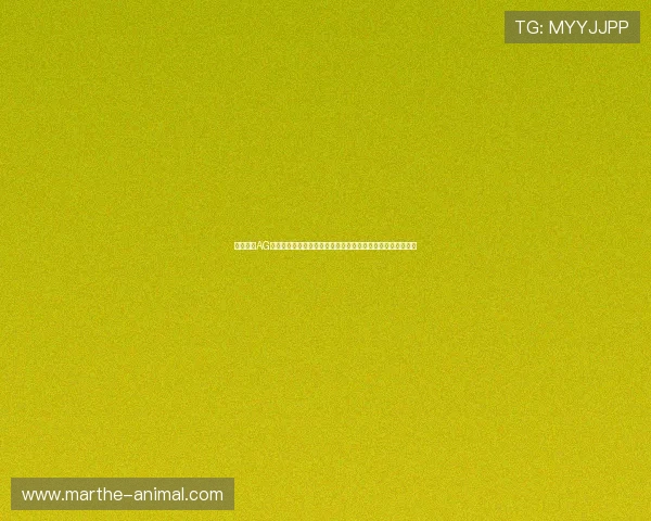 如何通过AG恒峰官网快速注册并享受专属优惠,成为线上娱乐的最佳选择 如何通过AG恒峰官网快速注册并享受专属优惠,成为线上娱乐的最佳选择