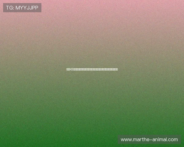 探索K8百家官网最新优惠活动与丰富游戏资源，开启您的精彩娱乐新体验