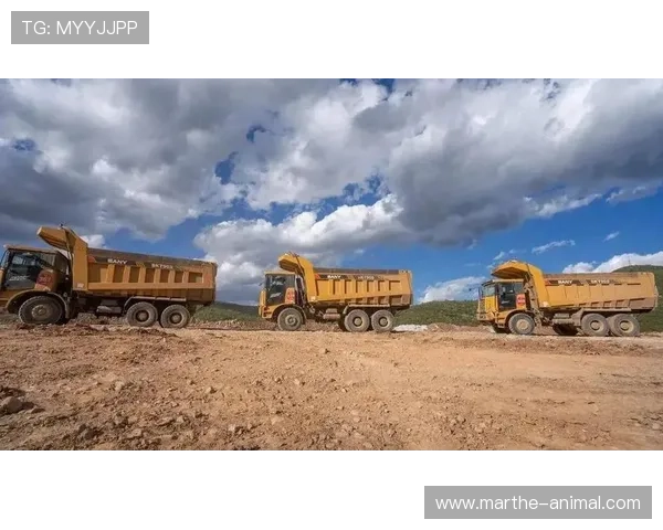 三一真人分析游戏中角色真实性提升的关键因素与优化方案 三一真人分析游戏中角色真实性提升的关键因素与优化方案