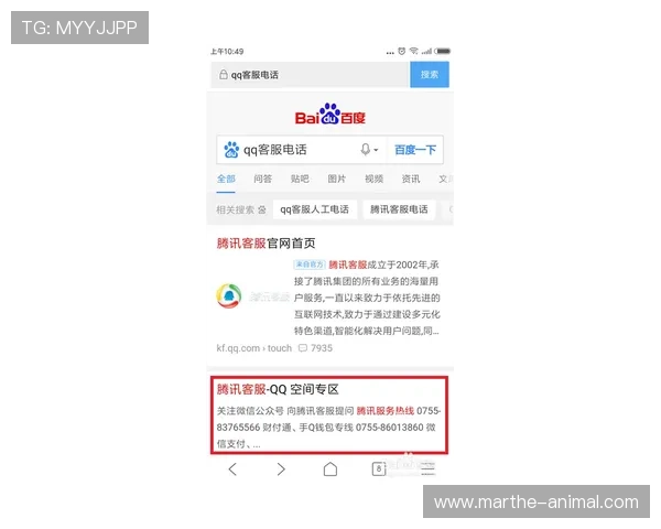乐鱼真人首页下载提供专业客服全天在线解答游戏相关疑问保障用户体验