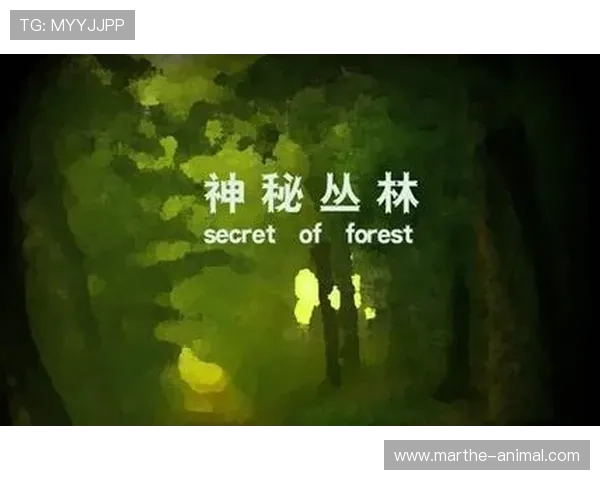 大游bg真人带你体验最真实的线上真人娱乐游戏玩法与技巧指南