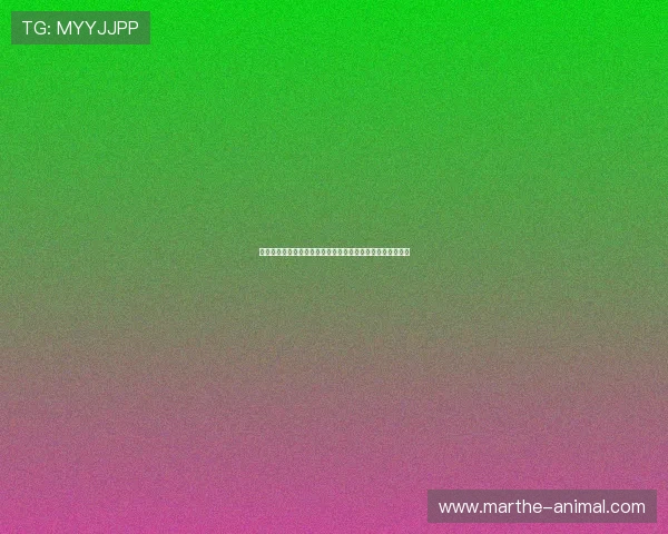 比利时对阵新西兰比赛全场回放视频观看指南与精彩集锦分析 比利时对阵新西兰比赛全场回放视频观看指南与精彩集锦分析